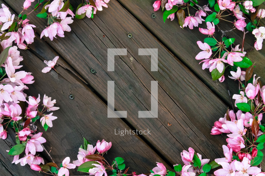 border of azalea flowers on a wood deck 