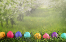 row of Easter eggs in grass 