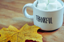 thankful mug and fall leaf 