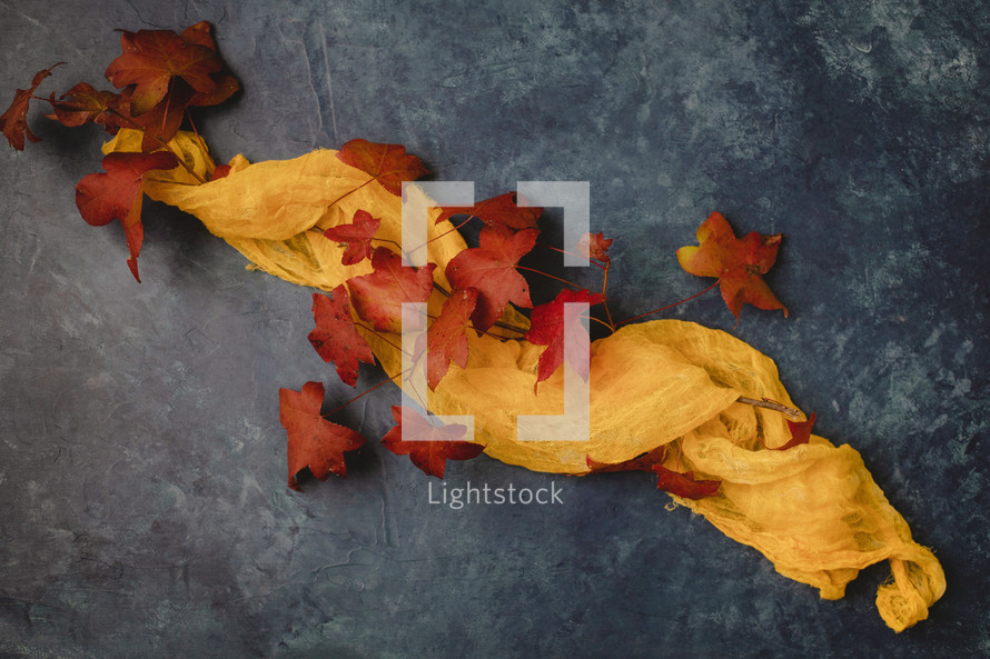 red fall leaves and golden scarf on a gray background 