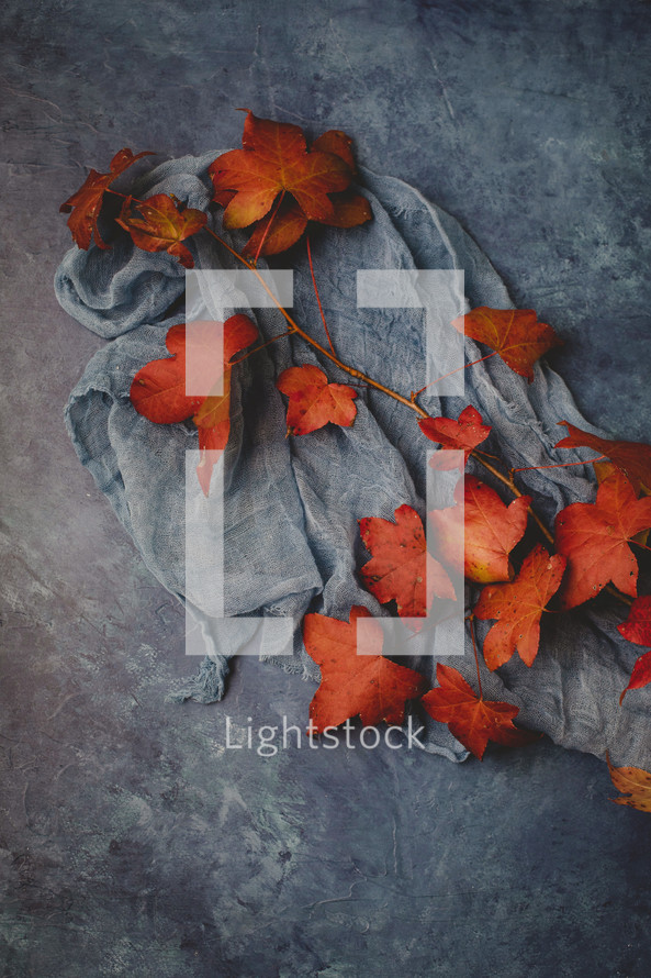red fall leaves and gray scarf on a gray background 