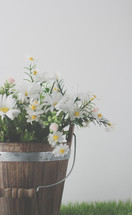 a wooden bucket full of white daisies on green grass
