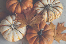 pumpkins and fall leaves 