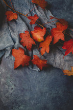 red fall leaves and gray scarf on a gray background 