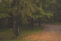 fall leaves and rain on a dirt road 