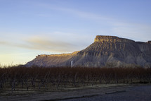 The sunlight illuminates the bookcliffs and Mt Garfield in the winter with the barren peach grove in the foreground