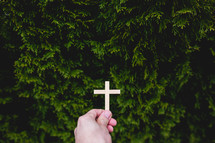 hand holding a cross in front of a bush 