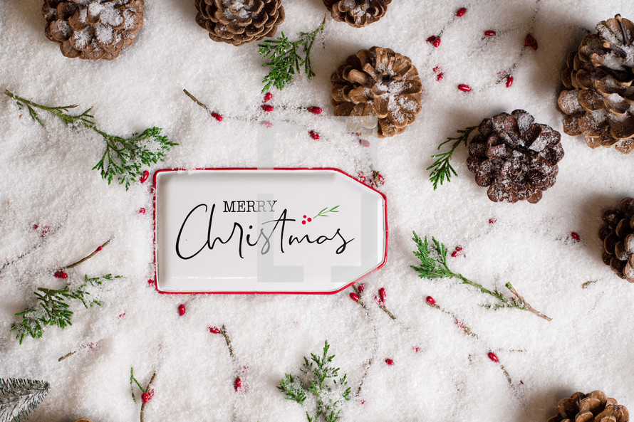 Snowy background with pine cone and Merry Christmas tag