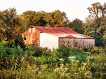 old abandoned barn 
