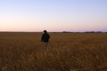 cowboy in a wheat field