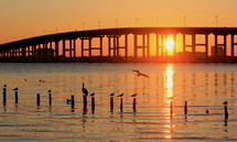 Sunset beyond a bridge over and ocean bay with birds.