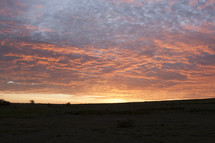 African savanna at sunrise
