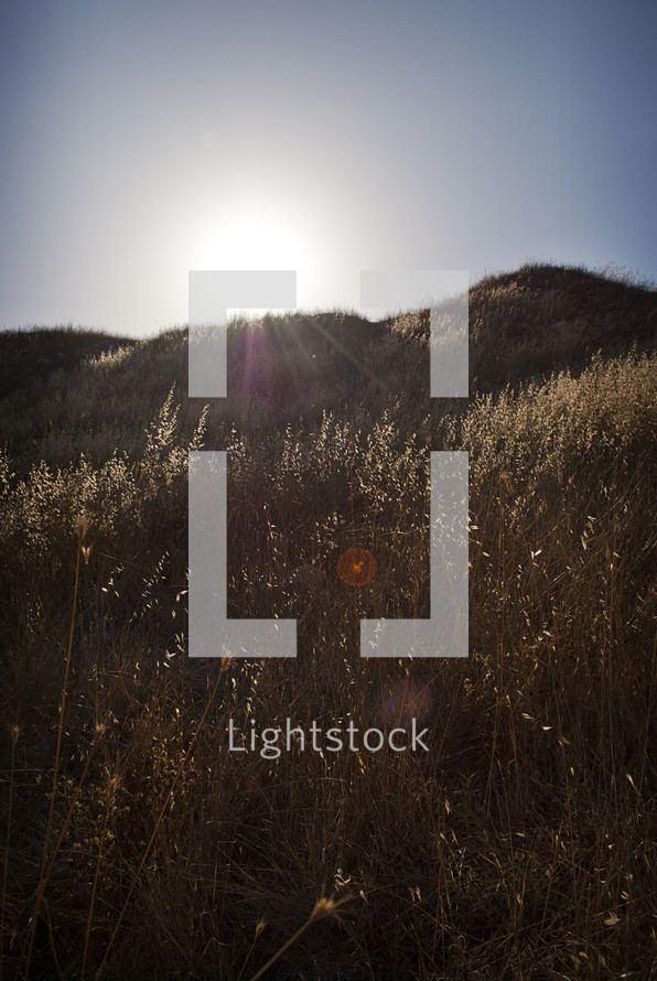 sunlight over a hill in Israel 