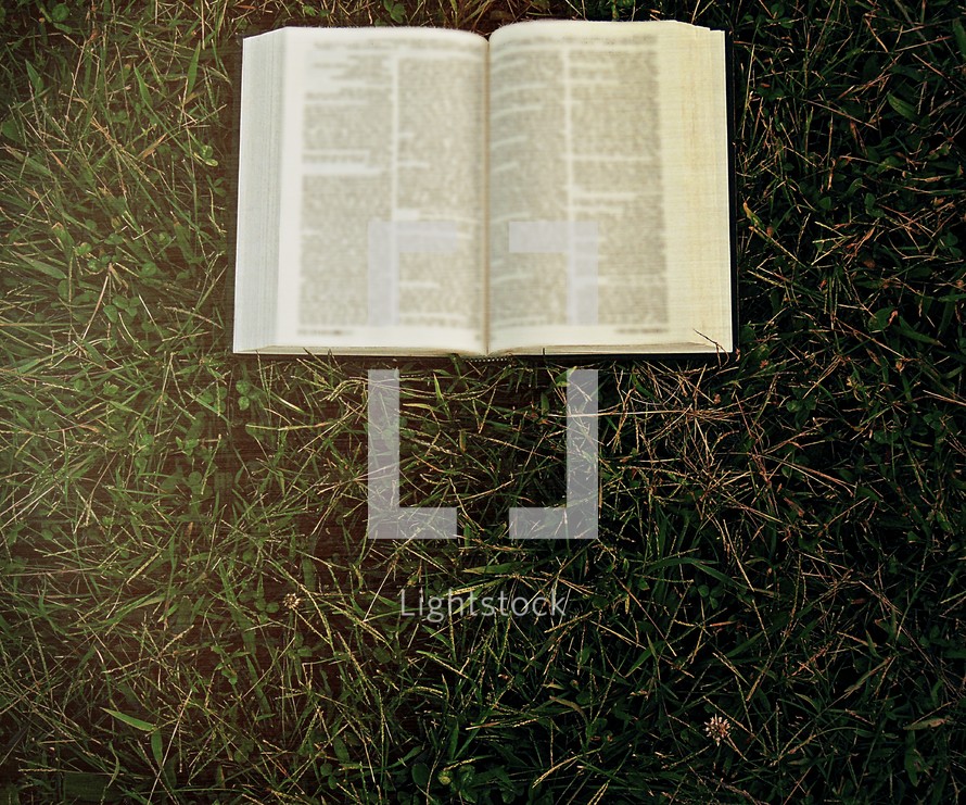 A Bible lying in the grass 