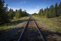Railroad tracks running through a forest.