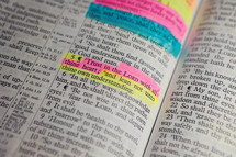 highlighted Proverb Bible verse