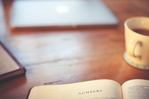 Bible opened to Numbers, coffee mug, journal 