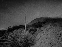 desert hill at night 