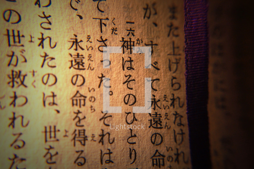 Text John 3: 16 (in Japanese)