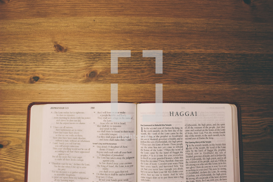 Bible on a wooden table open to the book of Haggai.