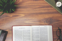 open Bible and reading glasses on a wood table - Numbers 