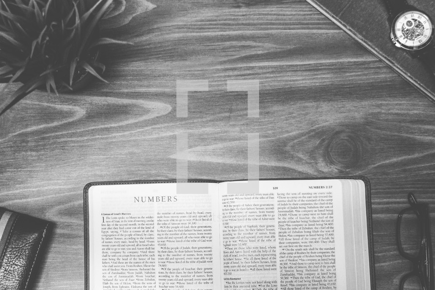 Numbers, open Bible, Bible, pages, reading glasses, wood table