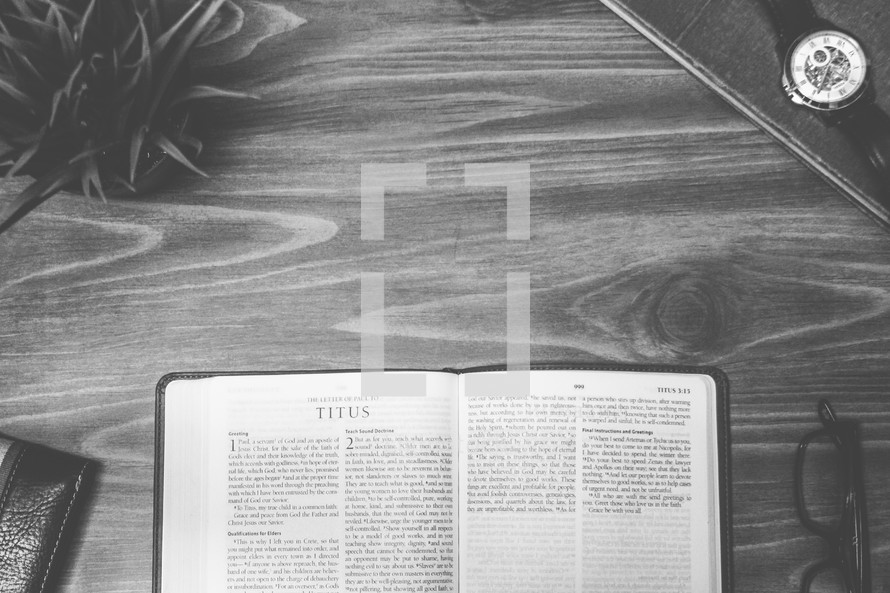 Titus, open Bible, Bible, pages, reading glasses, wood table 