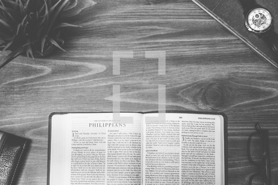 Philippians, open Bible, Bible, pages, reading glasses, wood table 