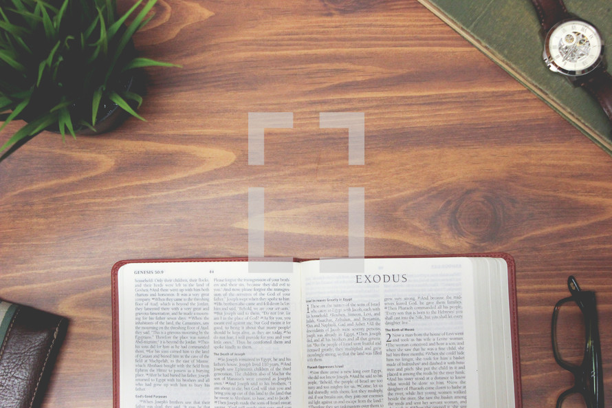 open Bible and reading glasses on a wood table - Exodus 