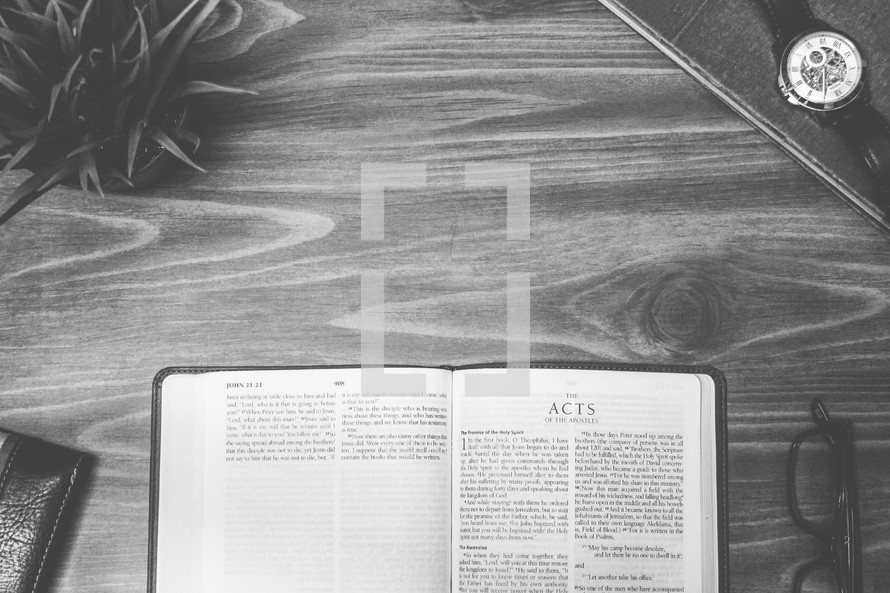 Acts, open Bible, Bible, pages, reading glasses, wood table 