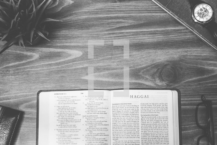 Haggai, open Bible, Bible, pages, reading glasses, wood table 