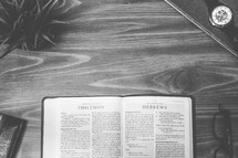 Philemon, open Bible, Bible, pages, reading glasses, wood table 