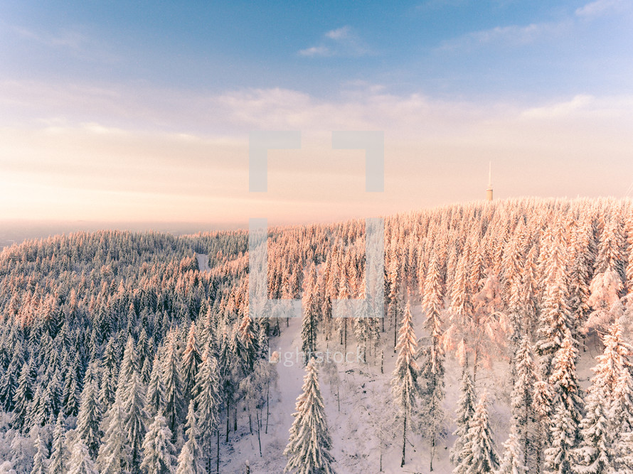 aerial view over a snow covered forest 