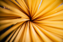 A pile of spaghetti dry on the table. Against a dark background. High quality photo