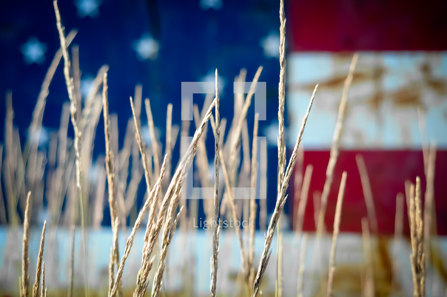 American flag behind stalks of wheat,