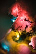 Chrsitmas lights on snow-covered pine needles.