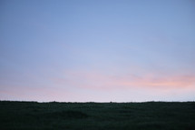 sunset over a green field 