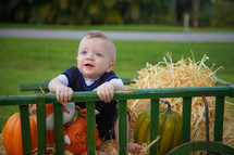 toddler boy in a wagon with pumpkins and hay