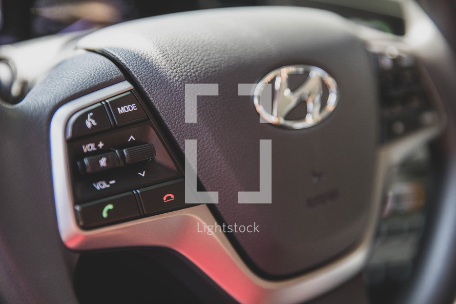 vehicle steering wheel and horn 