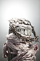 The crown and rags of Christ