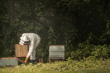Beekeeper assembling a bee hive full of honey bees, beekeeping suit