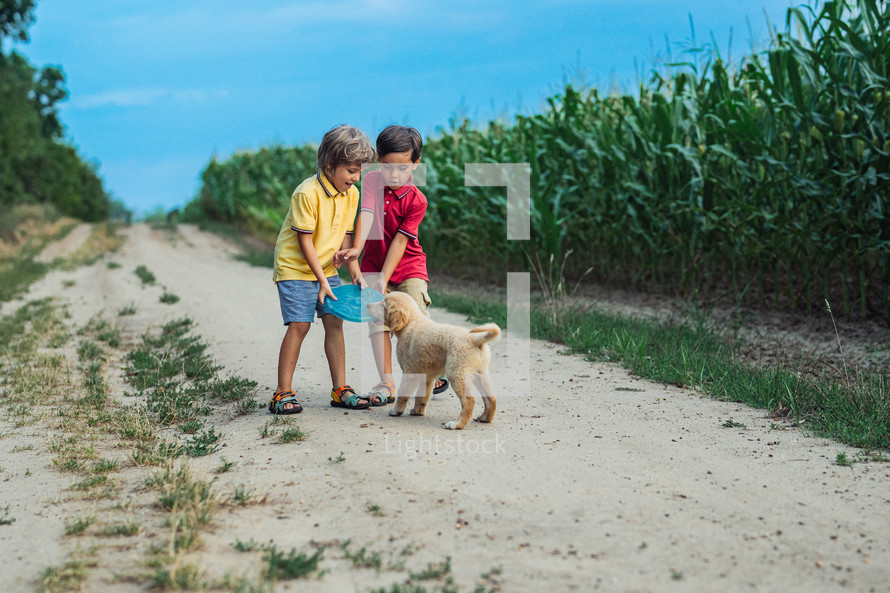 Toddlers twins brothers Playing Frisbee with golden retriever puppy on wonderland country road. Amazing sunset light. Kids with doggy. Happy friendly pet, cinematic unforgettable moments. High quality