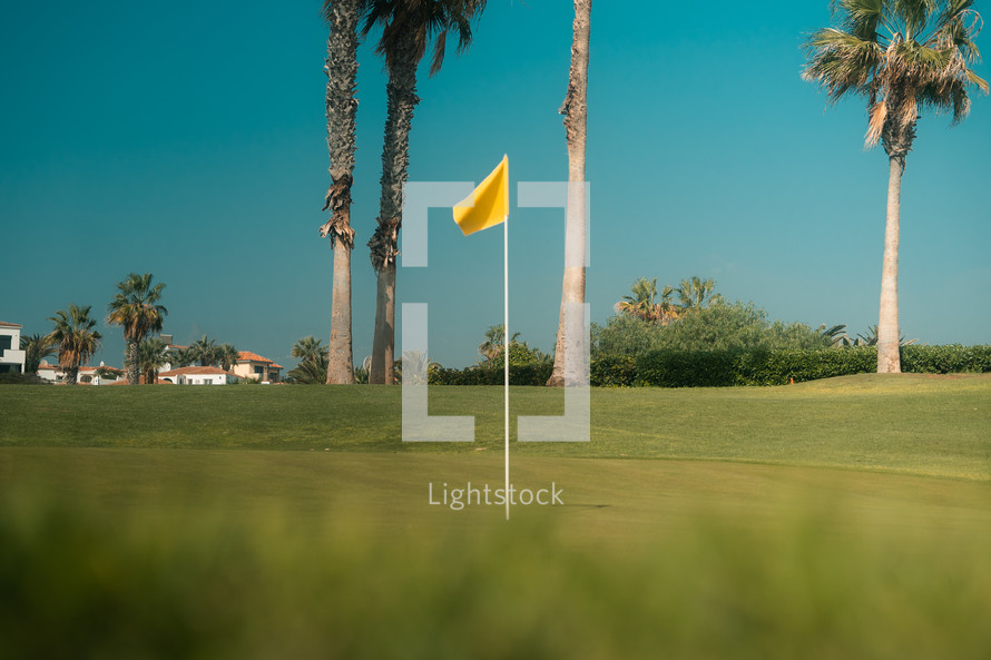 Golf course flag, green flag pin, golf hole, exotic golfing scene with palm trees and blue sky