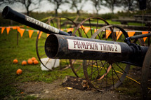 Pumpkin canons get ready to fire pumpkins across a field.