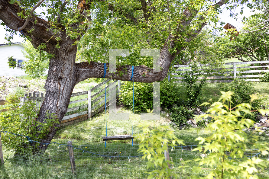 wooden tree swing in charming yard