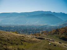 fall valley landscape 