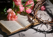 Pink Peony Flowers, opened Bible,  and crown of thorns on wood background 