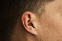 a man's ear 