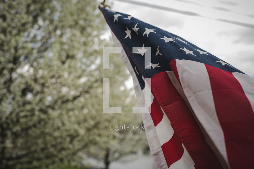 American flag on a flagpole and spring blossoms 