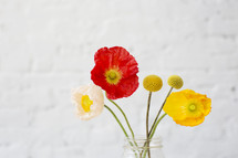 poppies in a vase 